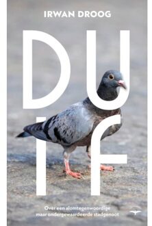 Duif - Irwan Droog