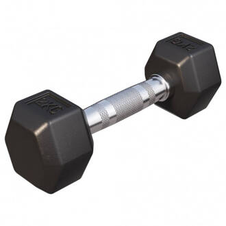 Dumbell 2 kg (1 x 2 kg) Hexagon Rubber