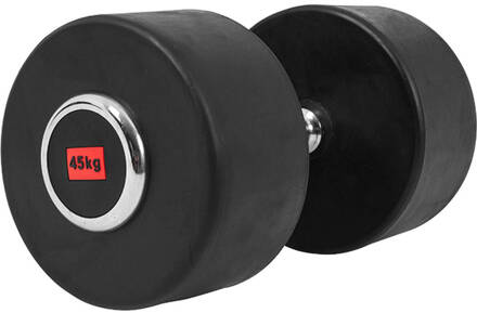 Dumbell 45 kg (1 x 45 kg)