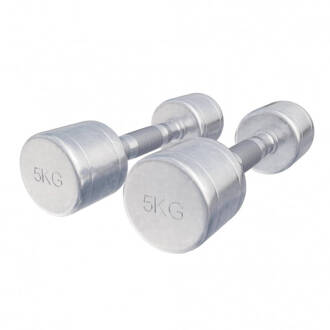 Dumbellset chroom 10 kg (2 x 5 kg)