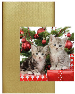 duni Papieren tafelkleed/tafellaken goud inclusief kerst servetten