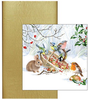 duni Papieren tafelkleed/tafellaken goud inclusief servetten winter thema