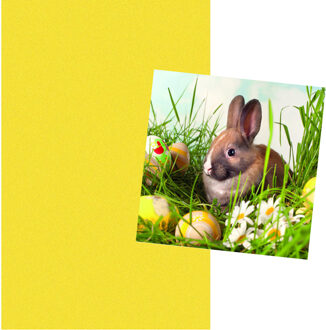 duni Pasen tafel dekken decoratie set - geel tafelkleed 138 x 220 cm - en 20x paas thema servetten