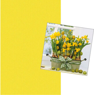 duni Pasen tafel dekken decoratie set - geel tafelkleed 138 x 220 cm - en 20x paas thema servetten