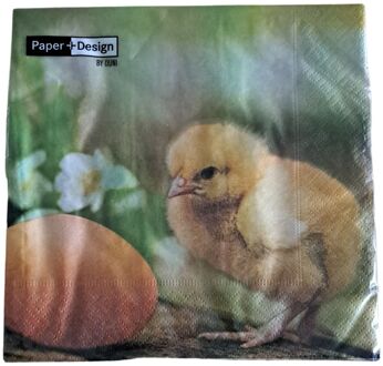 duni Servetten Chicken with egg 33x33cm multi