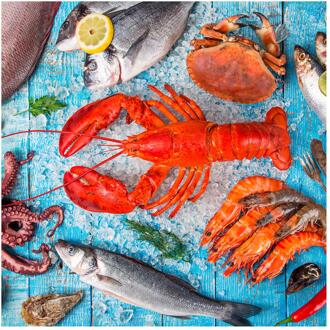 duni Servetten Seafood 33cm multi