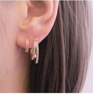 Duo Circlet Oorbellen - Oostenrijks kristal Wit en roségoud