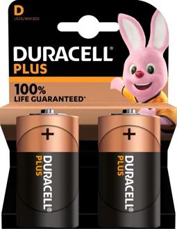 Duracell Plus power Duralock D2 duo pack MN1300