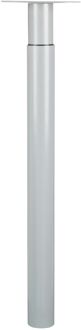 Duraline Meubelpoot Verstelbaar Staal 5,6x70-110cm Grijs