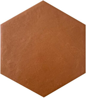 Dust vloer- en wandtegel - 17.5x20cm - hexagon - R10 - mat terrae (oranje) 1981217 Terrae mat (oranje)