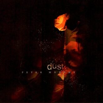 Dust