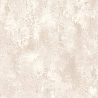 Dutch Wallcoverings Behang beton beige TP1011