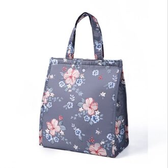 Duurzaam Draagbare Geïsoleerde Thermische Koeler Lunchbox waterdichte Carry Tote Picknick Case Oxford Opbergtas Modieuze stijl D