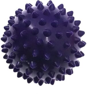 Duurzaam Pvc Spiky Massage Bal Trigger Point Sport Fitness Hand Foot Pain Relief Fasciitis Plantaris Reliever Egel 7Cm Ballen paars
