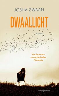 Dwaallicht - eBook Josha Zwaan (9026330669)