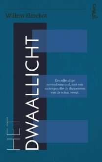 Dwaallicht - Willem Elsschot - ebook