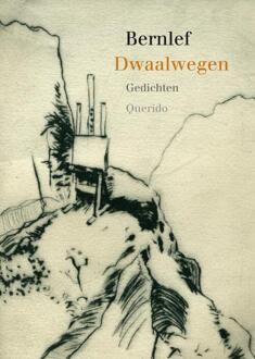 Dwaalwegen - Boek J. Bernlef (9021434555)