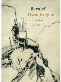 Dwaalwegen - Boek J. Bernlef (9021434555)