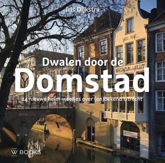 Dwalen door de Domstad -  Iris Dijkstra (ISBN: 9789462587120)