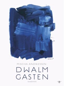 Dwalmgasten - Boek Mischa Andriessen (9023499352)