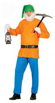 Dwerg/kabouter carnaval verkleed kostuum - volwassenen - 4-delig - One size;;