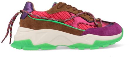 DWRS Bonney B10653-02-5682 Roze / Groen maat