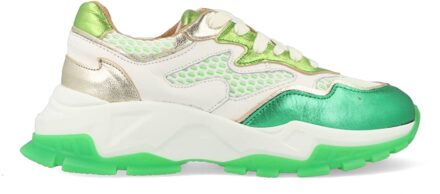 DWRS Chester B10649-08-1361 Wit / Groen maat