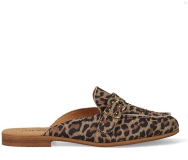 DWRS Jasper Leopard Instappers 28562-02-8808 Bruin maat