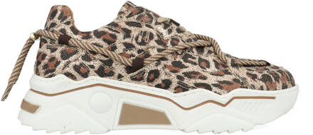 DWRS Jupiter Leopard Glimmer J5554C-91-8411 Beige-39 maat 39