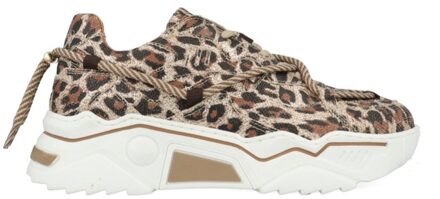 DWRS Jupiter Leopard Glimmer J5554C-91-8411 Beige maat