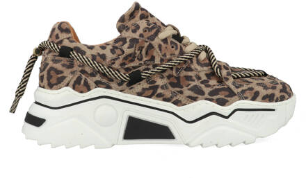 DWRS Jupiter Leopard J5554C-77-8201 Beige-41 maat 41