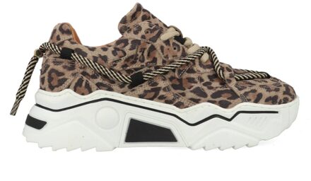 DWRS Jupiter Leopard J5554C-77-8201 Beige maat