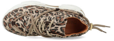 DWRS Label Jupiter leopard glimmer j5554c-91-8411 Beige - 40