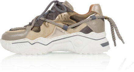 DWRS Label Jupiter Taupe - 37