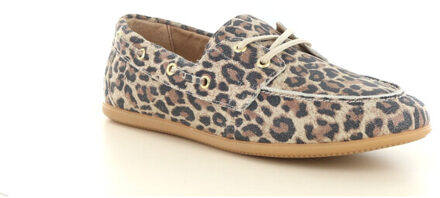 DWRS Label Latty Bruin - 39