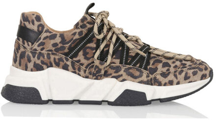 DWRS Label Los angeles - maat 40 Veelkleurig