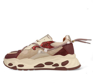 DWRS Label Saturnus j5554c/t-16-4577 bordeaux / wit Rood - 39