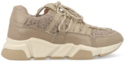 DWRS Los Angeles Teddy B9101-89-8008 Grijs / Taupe maat