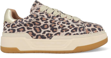 DWRS LOT Leopard B11472-02-7208 Champagne Rosé / Goud-42 maat 42