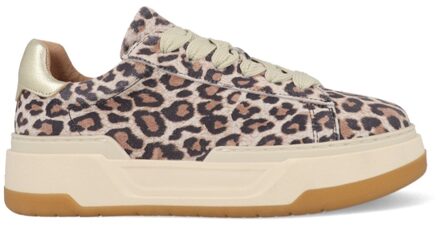 DWRS LOT Leopard B11472-02-7208 Champagne Rosé / Goud maat