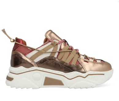 DWRS Orion J6870-09-7058 Bronze / Bordeaux Rood -40 maat 40