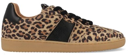 DWRS Poona Leopard B11456-09 Bruin / Zwart-39 maat 39