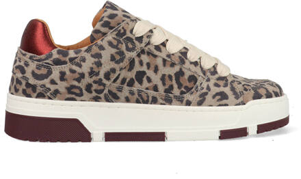 DWRS Whitby Leopard J6972-02-4568 Bordeaux Rood / Grijs-37 maat 37