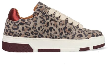 DWRS Whitby Leopard J6972-02-4568 Bordeaux Rood / Grijs maat