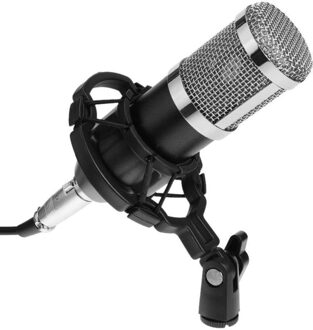 Dynamische Condensator Microfoon Sound Studio Audio-opname Mic met Shock Mount voor Omroep KTV Zingen BM800