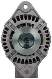 Dynamo Volvo 110A 816502110010