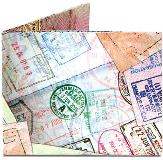 Dynomighty Design Mighty Wallet Passport Multi - 145 x 150 mm
