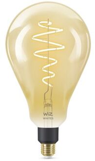 E27 25W 390lm 2000K Lamp Gouden coating