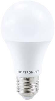 E27 LED Lamp - 10,5 Watt 1055 lumen - 2700K Warm wit licht - Grote fitting - Vervangt 75 Watt