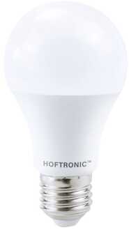 E27 LED Lamp - 10,5 Watt 1055 lumen - 6500K Daglicht wit licht - Grote fitting - Vervangt 75 Watt